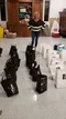 carousel chooser